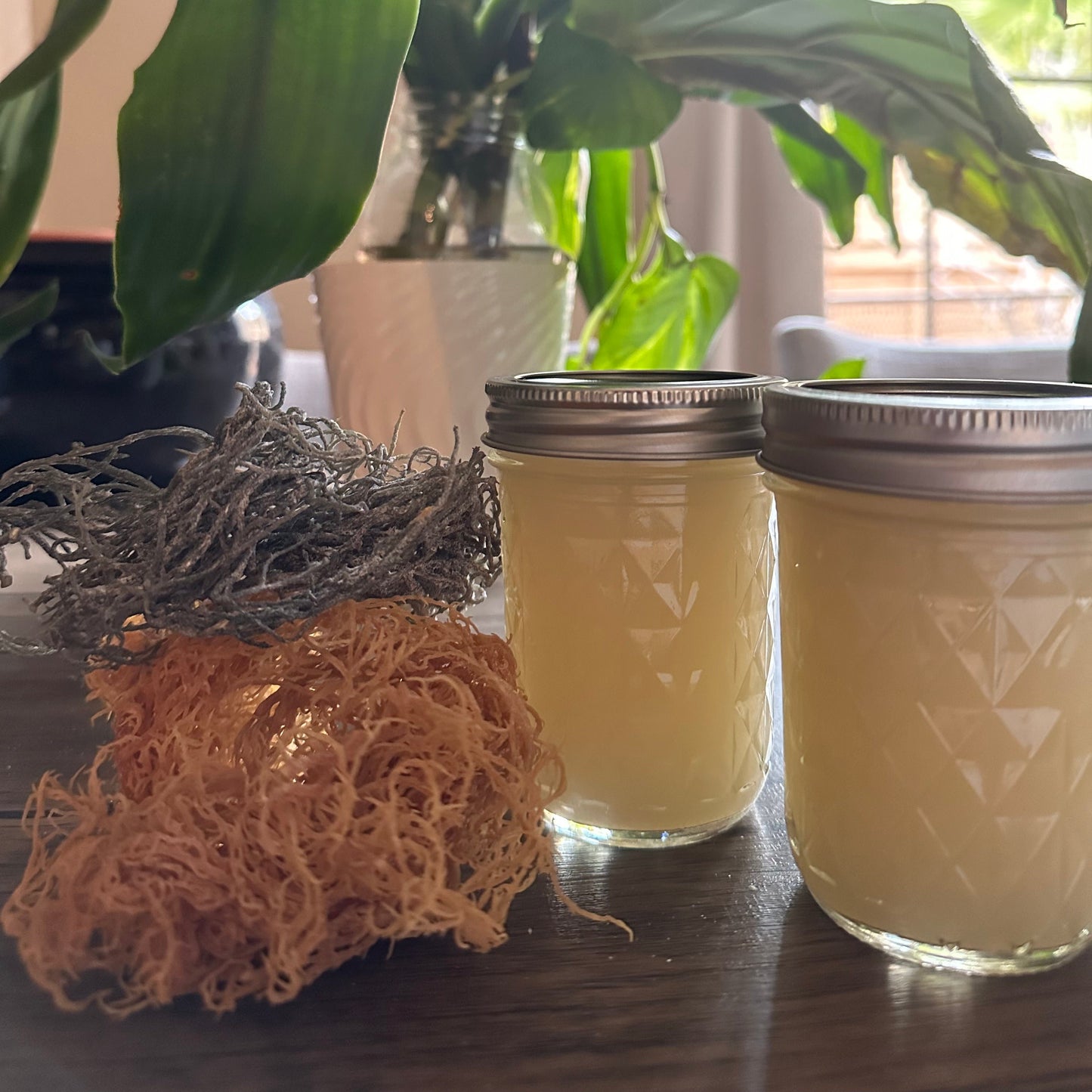 Organic Sea Moss