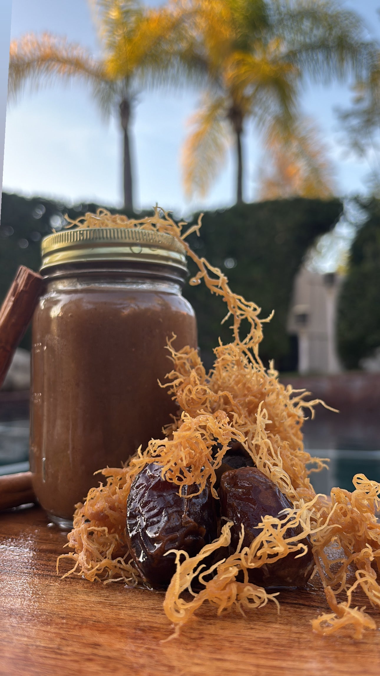 Cinnamon & Date - Seamoss