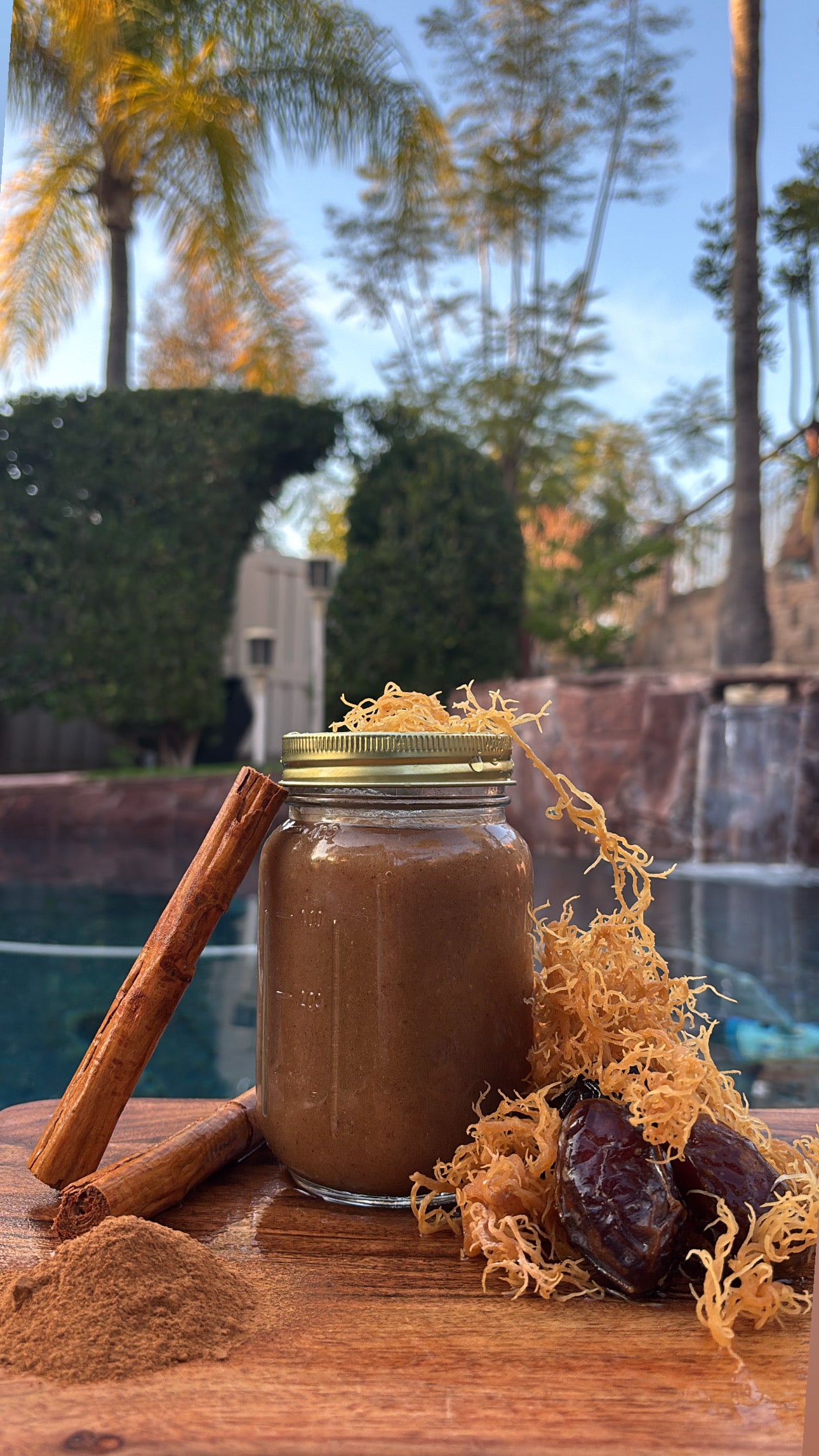 Cinnamon & Date - Seamoss – Grandma Remedies