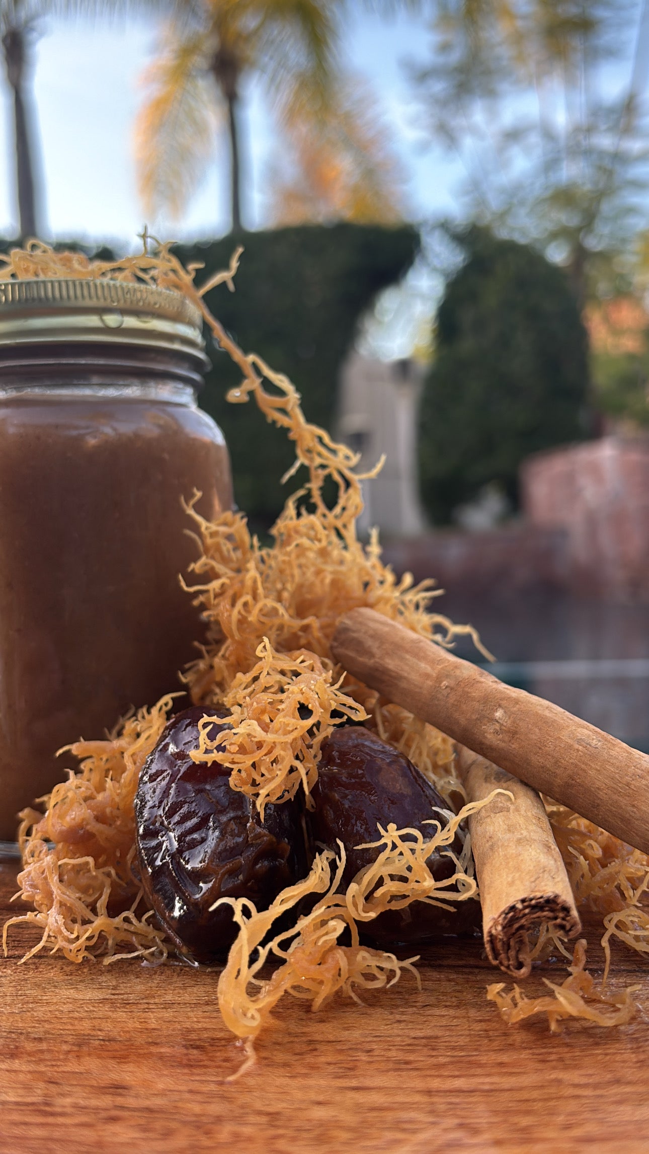 Cinnamon & Date - Seamoss