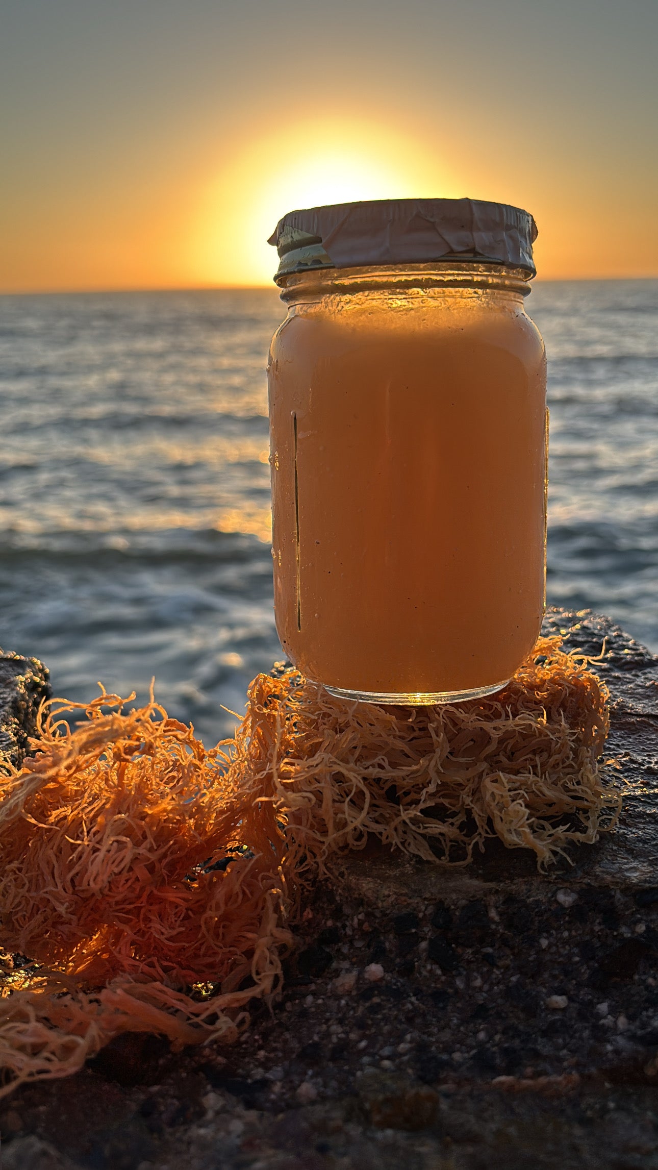 Organic Sea Moss Gel