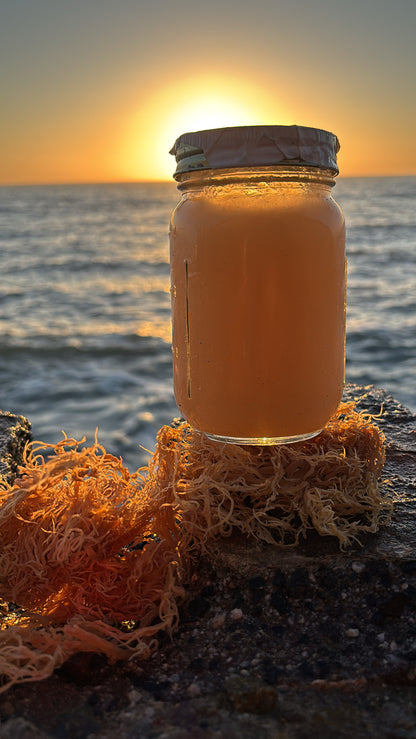 Organic Sea Moss Gel