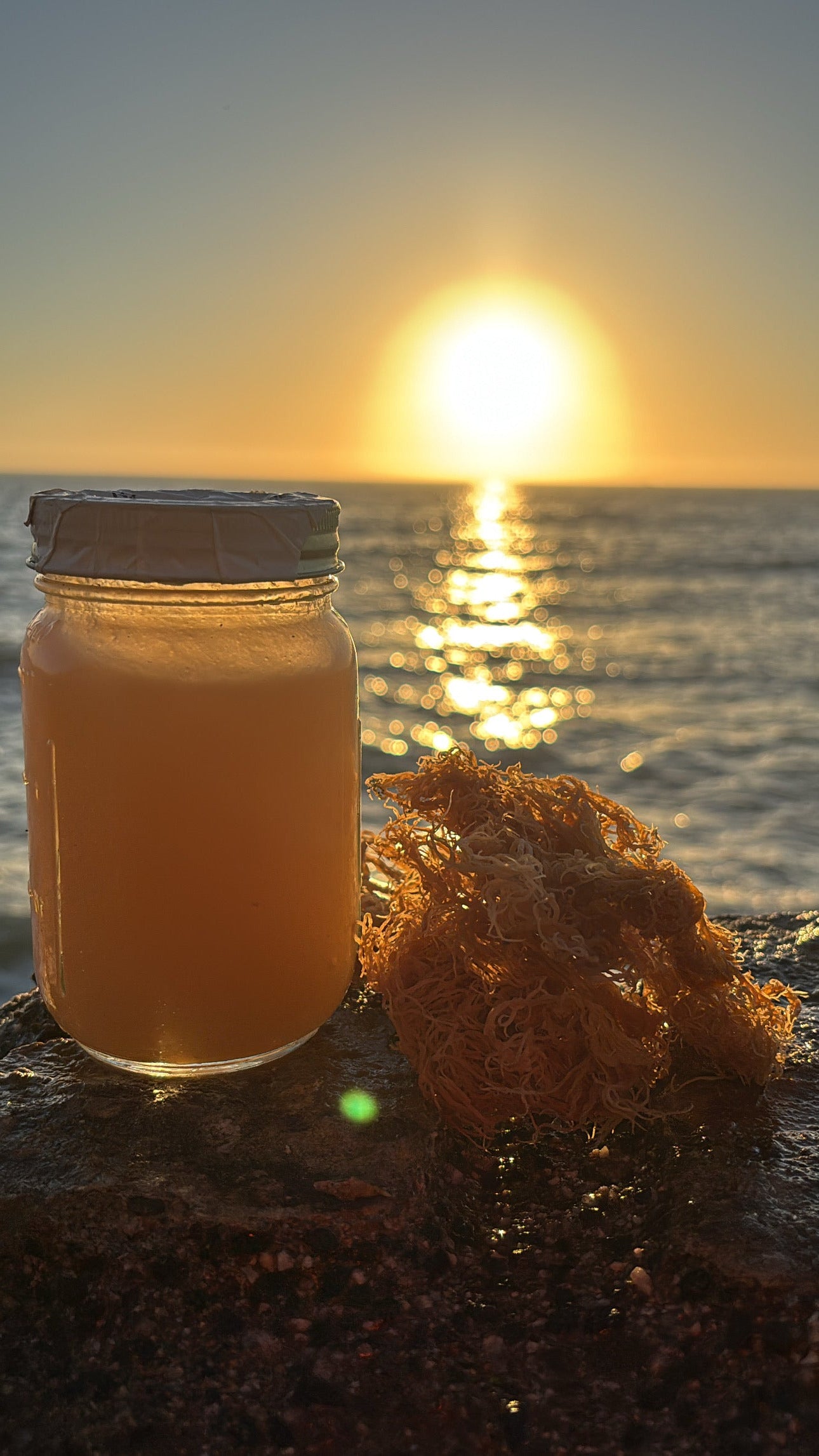 Organic Sea Moss Gel