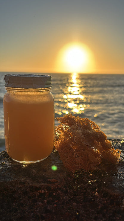 Organic Sea Moss Gel